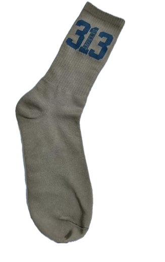 Detroit 313 socks (gray & blue)